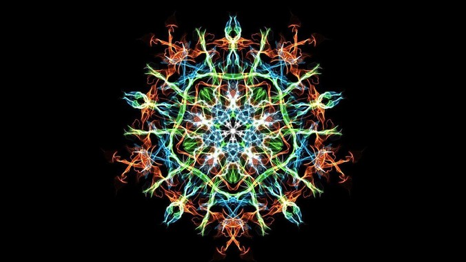 为什么我养的龟忽然死了?